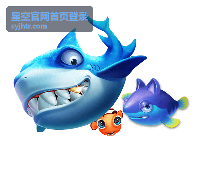 星空官网首页登录后查看服务开通与套餐权益