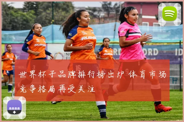 世界杯子品牌排行榜出炉 体育市场竞争格局再受关注