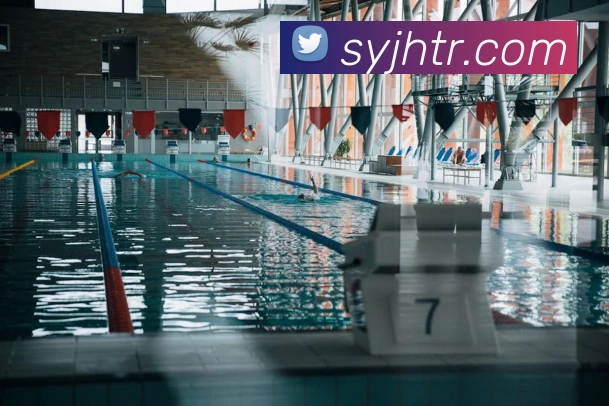 互动解说服务